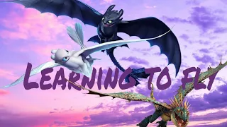 Learning to fly HTTYD (collab with SFB)