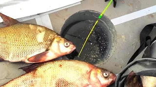 Big bream TAKES IT!!!! Nods rise, hooks tear - russian winter fishing at night in a tent