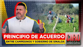 "Hay que solucionar la crisis agrícola de fondo": David Páramo | Ciro Gómez Leyva