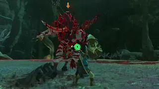 Lore accurate Link vs Silver Lynel