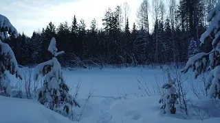 Зимний морозный день в лесной избушке!