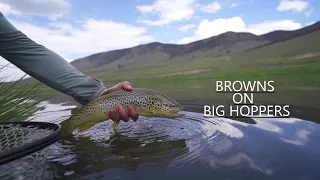 Fly Fishing the Gunnison Colorado High Country