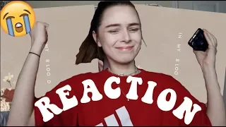 SHAWN MENDES IN MY BLOOD REACTION