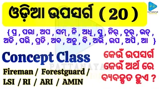 Odia Grammar Upasarga Concept Class| ଓଡ଼ିଆ ଉପସର୍ଗ|Upasarga Concept Class by @PATTANAYAKEDUCATION