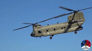 Low flying RNLAF D-480 CH-47F MYII CAAS Chinook at the Arnhemse Heide