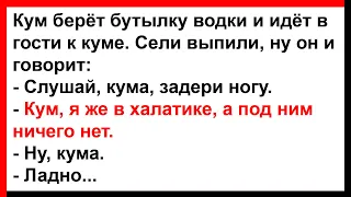 Кум с бутылкой водки пришёл в гости к куме... Анекдоты! Юмор! Позитив!