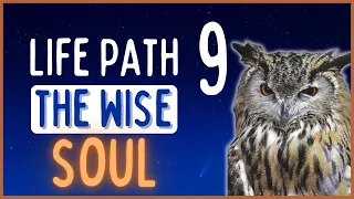 Life Path 9 | Personality SECRETS About “The Wise Soul!” 🦉📚💜 | Chasing Solana ☀️💛🌻