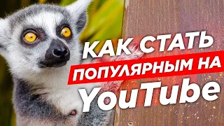 Как Стать Популярным на YouTube 2020, Платное Продвижение На Ютуб / КАК ВЫЙТИ В ТРЕНДЫ ЮТУБА