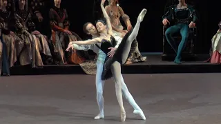 Anna Nikulina, Mark Chino  and  Dmitry Vyskubenko in ballet Swan Lake