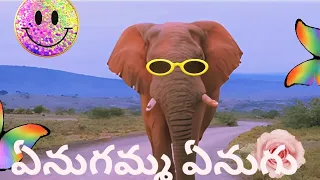 ఏనుగమ్మ ఏనుగు ఎంతో చక్కని ఏనుగు Enugamma enugu entho chakkani enugu Kids Telugu Rhyme Nursery song