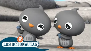 Los Octonautas - Los pingüinos de Adelia | Temporada 2 | Episodios completos