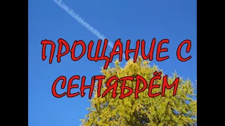 Прощание с сентябрём. Собираем грибы конца сентября.