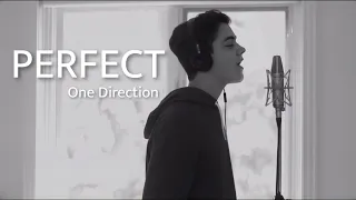 Perfect - One Direction (Cover by Alexander Stewart)