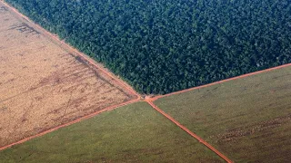 Landmark climate change report calls for overhaul of farming and eating habits