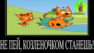 МУД ТРИ КОТА ДЕМОТИВАТОР 132 | НЕ ПЕЙ, КОЗЛЕНОЧКОМ СТАНЕШЬ!