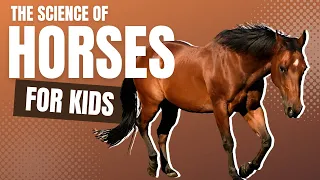 The Science of Horses For Kids by Little Lab | Educational Videos for Toddlers