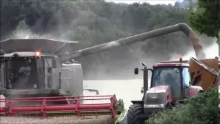 3 Claas 770 Terra-Trac`s Harvesting wheat 2012.wmv