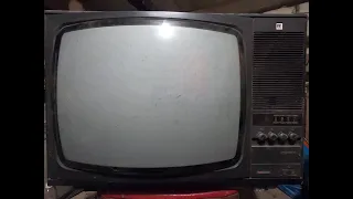 Разбор телевизора Рубин (51тц-346) на цветные и драг металлы!!!
