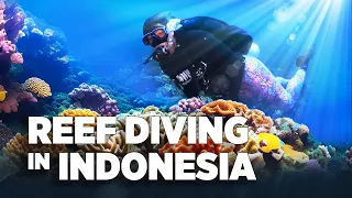 Nikki Goes Diving In Raja Ampat-Indonesia