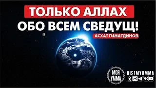 Только Аллах обо всем сведущ!