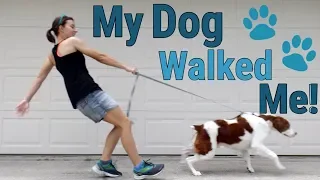 I let my dog walk me for a day! (Down a dead end!)