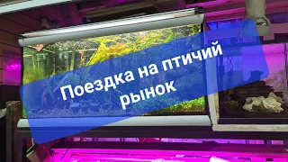 Поездка на птичий рынок