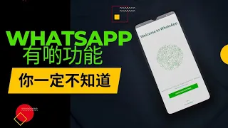 「 WhatsApp 教學 」 有幾個特別功能你一定要知道 : 保護你whatsapp