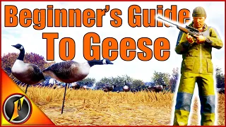 A Beginner's Guide to Hunting Geese! | Beginner Series Revamped