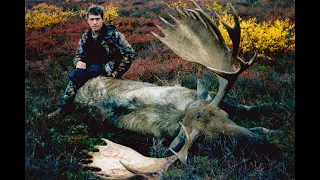 Kill Shots 5. Deer, Bear, Moose, Mountain Goat, Tahr, Chamois, Pigs.