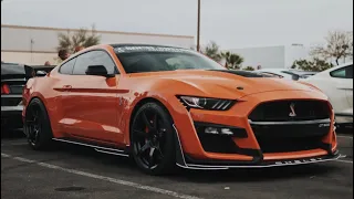 Shelby‘s on the strip 2. Shelby American factory visit. Even more Shelby’s!