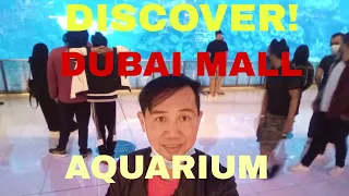 DISCOVER DUBAI AQUARIUM AND UNDER WATER ZOO, AT THE DUBAI MALL