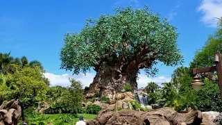 Disney's Animal Kingdom Walking Tour w/ Rides in 4K | Walt Disney World Florida September 2020