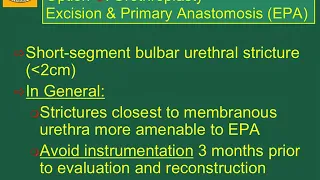 Treatment of Anterior Urethral Stricture: New Concepts and Outcomes