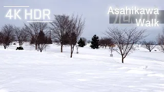 Winter Afternoon Walk on Snow in Asahikawa Chuwa wards, Hokkaido, Japan | 4K HDR