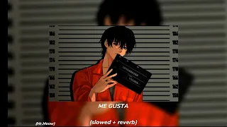 DTF ME GUSTA (slowed+reverb).me gustas tu