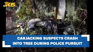 Carjacking suspects crash stolen car into tree during police pursuit