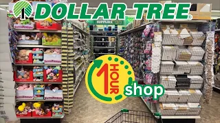 1 HOUR SHOP Dollar Tree finds *compilation