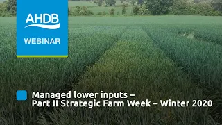 Managed lower inputs, Part II – AHDB Strategic Farm Week – Winter 2020