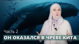 Он оказался в чреве кита. О Пророке Юнусе. Часть 2