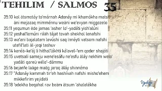 Salmos  Tehilim 35
