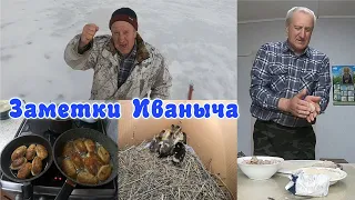 Вкусный завтрак, утиные дела и рыбные котлетки