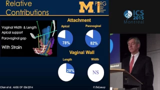 ICS Montreal 2015 - Complex anatomy of the female pelvis with regard to mesh introduction