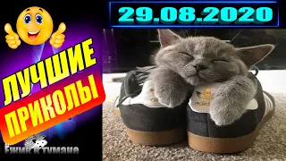 РЖАКА до Слез  BEST CUBE  Лучшие Видео из Инстаграм  BEST COUB  Видео Приколы  Отборные ПРИКОЛЫ