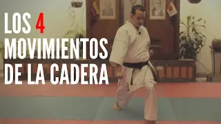 4 SECRETOS 😎 sobre el uso de LA CADERA en KARATE