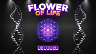 FLOWER OF LIFE DECODED