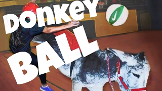 Donkey Ball