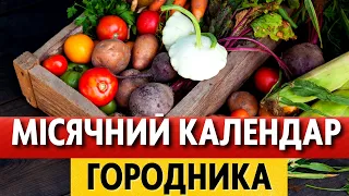 ЛИПЕНЬ 2023. Що і коли робити на городі? Точний місячний календар городника на липень по днях