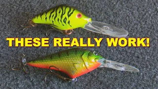 Crankbaits For Beginners | How To | Bass Fishing