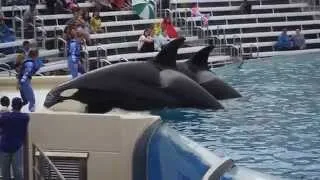 One Ocean (Full Show/Full HD) May 22 2014 - SeaWorld San Diego