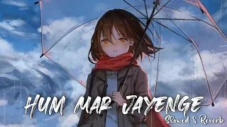 Hum Mar Jayenge [Slowed + Reverb] - Arijit Singh | Tulsi Kumar | Aashiqui 2| Lofi Mix| Sarvesh_Vibes